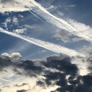 Meet your Posher, Kaylee